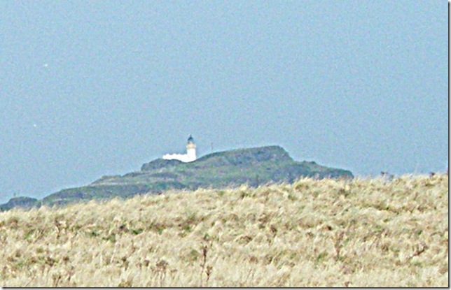 DSCF3998-crop