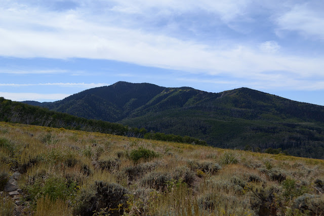 wooded peaks