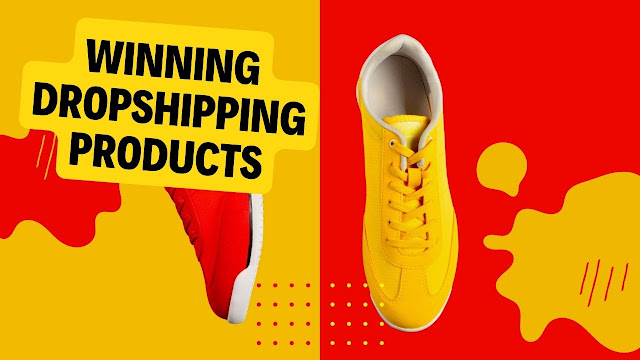 Winning dropshipping products