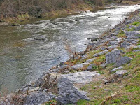 hawksbill creek