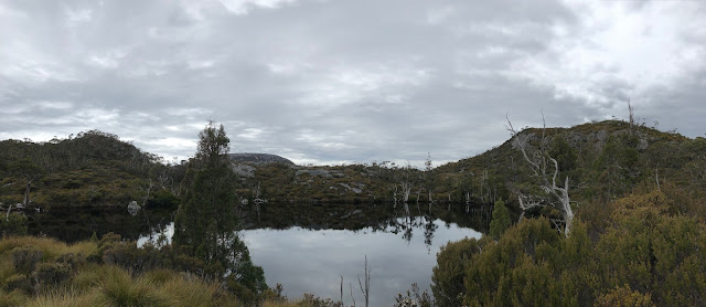 Wombat Pool 