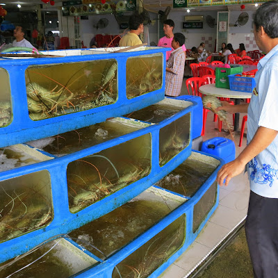 Lobsters-Sungai-Rengit-Pengerang-Johor