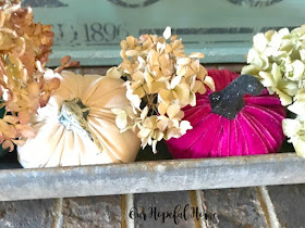 vintage chicken feeder plush pumpkins dried hydrangeas farmhouse sign