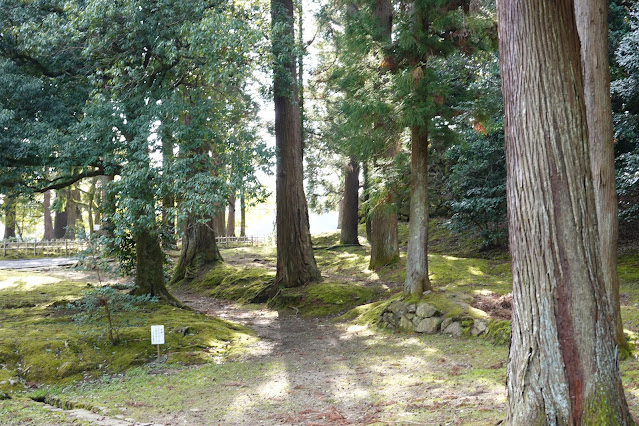 島根県松江市内中殿町 松江城 城山公園