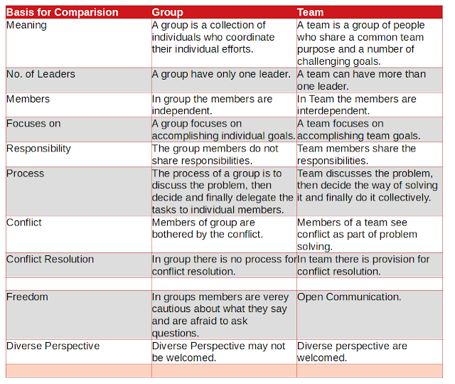 Difference Between Group and Team