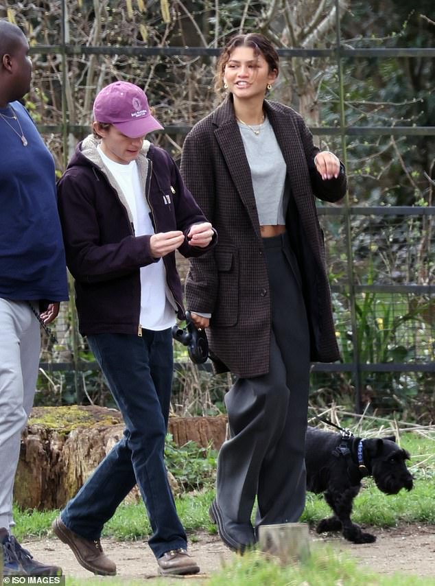 Zendaya And Tom Holland walking their dog