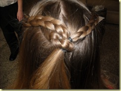 hair 009