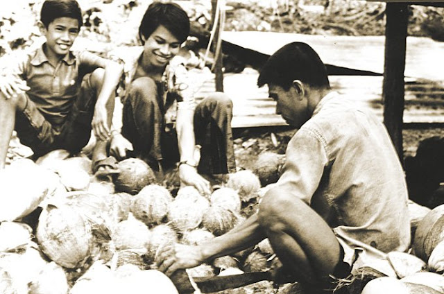 Jama Mapun men husking coconuts