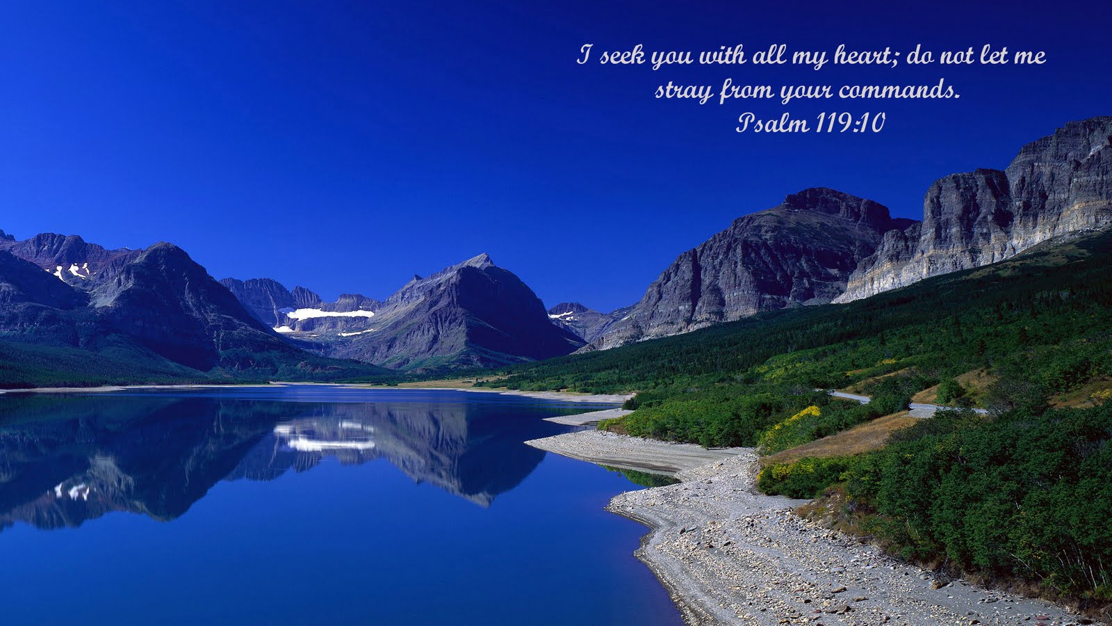 Psalm 119: 15