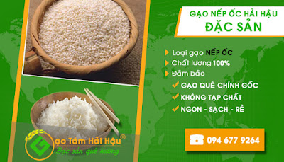 Gạo nếp ốc đặc sản Hải Hậu