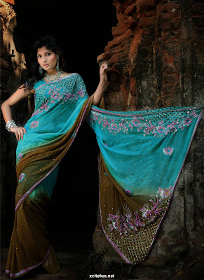 Bollywood Creative Sarees Collection 2011