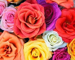 flowers