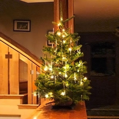 Beautiful Christmas Tree For Your Home