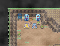 Pokemon Exile Screenshot 05