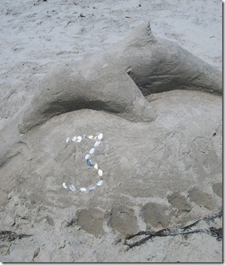 dolphinsculpt2