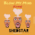 Download :- ShedStar Blow My Mind Cover