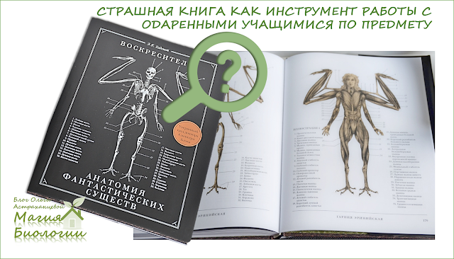 Магия-биологии-Хадспет-"Воскреситель"-применение-на-уроках-биологии Магия-биологии -Хадспет-"Воскреситель"-применение-на-уроках-биологии