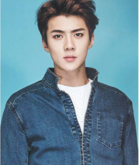 Biodata Of Exo S Sehun Girlfriend Family Age Height Net Worth And Birthday Showbizkorea