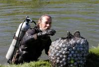 odd jobs: golf ball divers