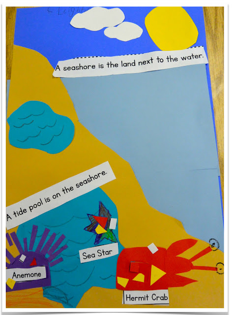 https://www.teacherspayteachers.com/Product/Ocean-Animals-and-Their-Zones-Lets-Make-a-Book-For-Little-Kids-1295912