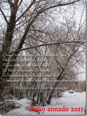 Voeux-2015 format photo