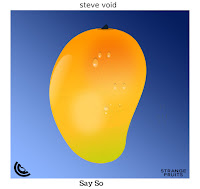 Steve Void - Say So Lyrics | Steve Void New Music