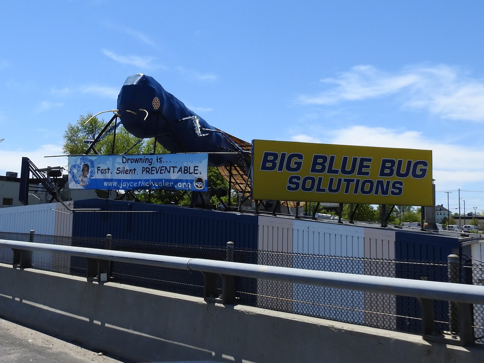 Big Blue Bug