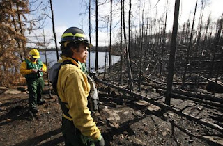 aftermath of Pagami Creek Fire