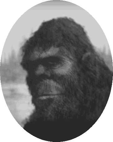 bigfoot reports