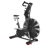 Schwinn AD Pro Airdyne Bike, commercial-grade air/fan bike, features compared with Lifecore Assault Air Bike