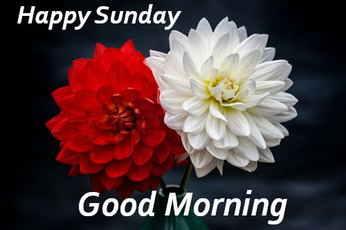 Good Morning Happy Sunday