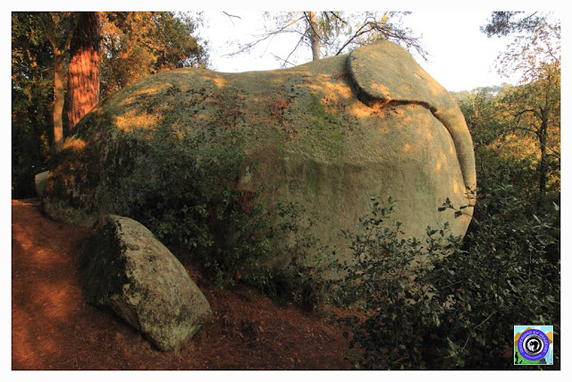 Elefante Ruta Prehistórica