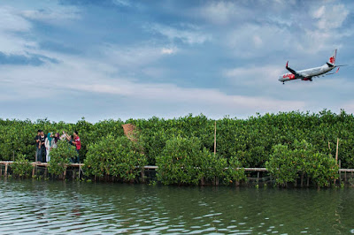  merupakan sebuah daerah ekowisata mangrove yang dikala ini sedang hits di Semarang Maron Mangrove Edupark, Tempat Wisata Hits di Semarang