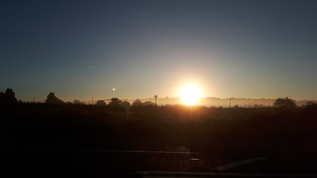 Project 365 2017 day 265 - Sunrise // 76sunflowers