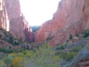 First stop is the north entrance to Zion Park. This area is called Kolob . (ap )