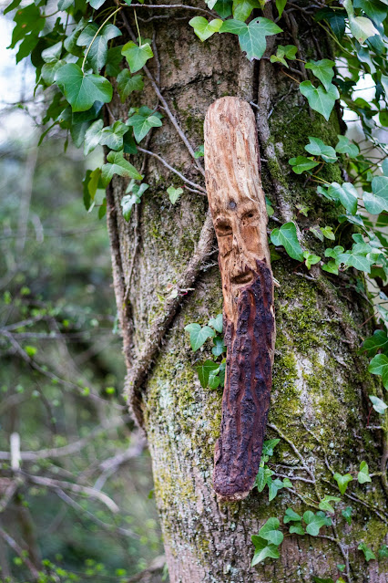 Faces in the woods