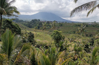 Jatiluwih Rice Terraces o Terrazas de Arroz de Jatiluwih. Isla de Bali, Indonesia.