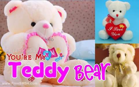 Happy Teddy Day