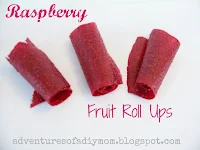 raspberry fruit roll ups