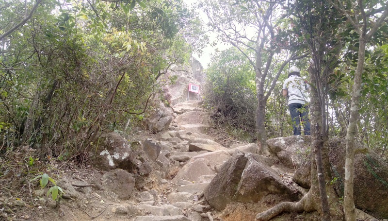 獅子山登山徑