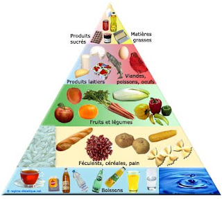 Pyramide alimentaire vitamines et les minéraux nécessaires