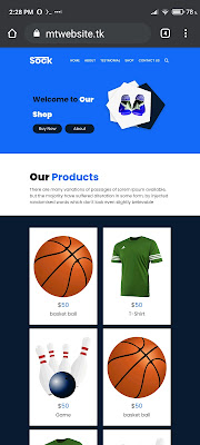 Website Hosted On GitHub with custom domain.