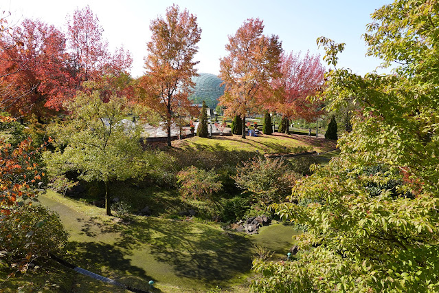 鳥取県西伯郡南部町鶴田　とっとり花回廊　紅葉の美