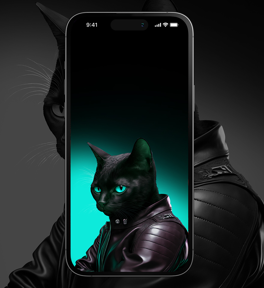 Cool Wallpaper: Stylish Cat Wearing a Jacket