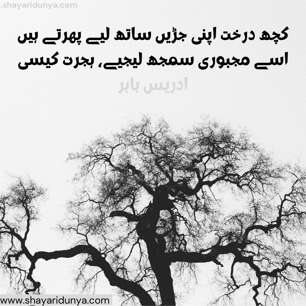 Top darakht Shayari |darakht Poetry | shayari on trees in urdu | shayari on trees in urdu | Tree Shayari Urdu