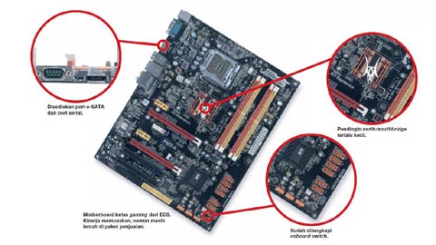 Spesifikasi Motherboard ECS P45T-A, Motherboard Intel Socket LGA 775