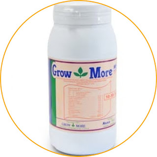 Grow More NPK 10-55-10 High in phosphate, flowers grow healthy and fast. This fertilizer is intended for plants that need high amounts of phosphate for their flowers to grow. As the name implies, the content of three ingredients is sodium 10, phosphate 55. and potassium 10. It can be seen that the phosphate substance is high enough so that it is effective in supporting faster and healthier flower growth. This product itself is in the form of blue crystals which are very soluble in water. Apply it by spraying it on the leaves or pouring it into the soil. For those of you who want plants to have better flower growth, this product can be an option.