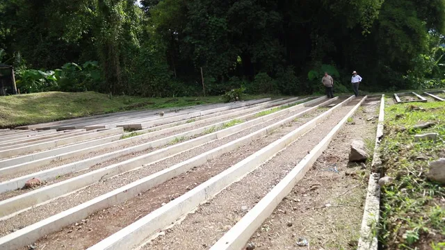 En consolidación están los cinco viveros que la CARDER dispondrá para reforestar a Risaralda