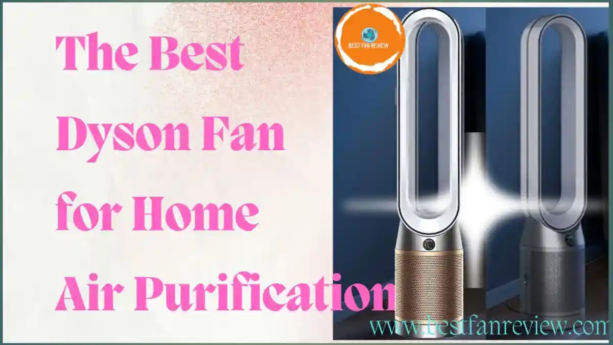 Discover, Google Discover, Bladeless Perfection  Best Dyson Fans Unique Features Of  air purification  The greatest Dyson fans accomplish so far more than simply circulate cool air. The greatest Dyson fans available today are more than just fans; they can also heat, cool, humidify, and even purify the air in your house.