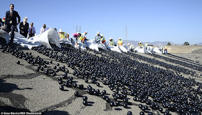 The Worlds Largest Ball Pit - Black HDPE Balls in the LA Water Reservoir